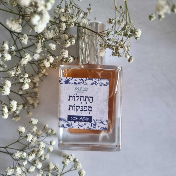 מבשם אוויר לבית 50 מ"ל